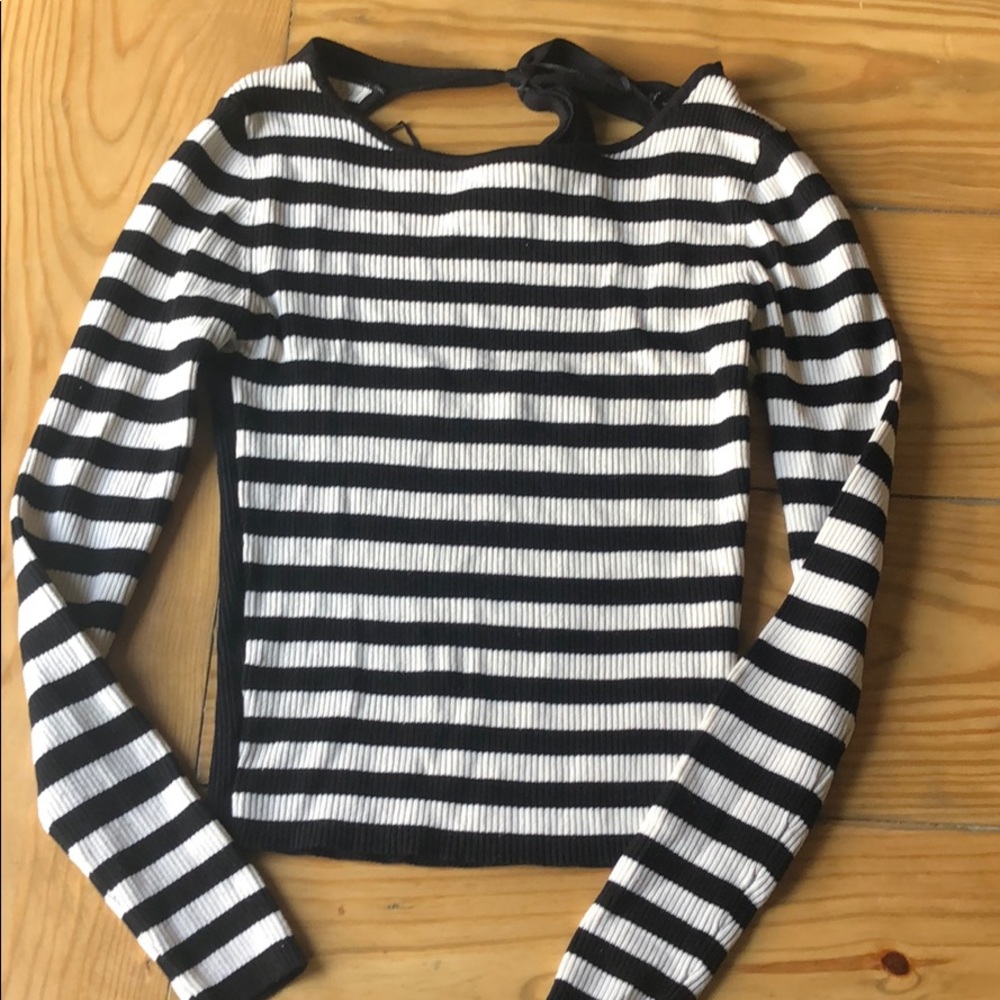 Zara Fitted Sweater